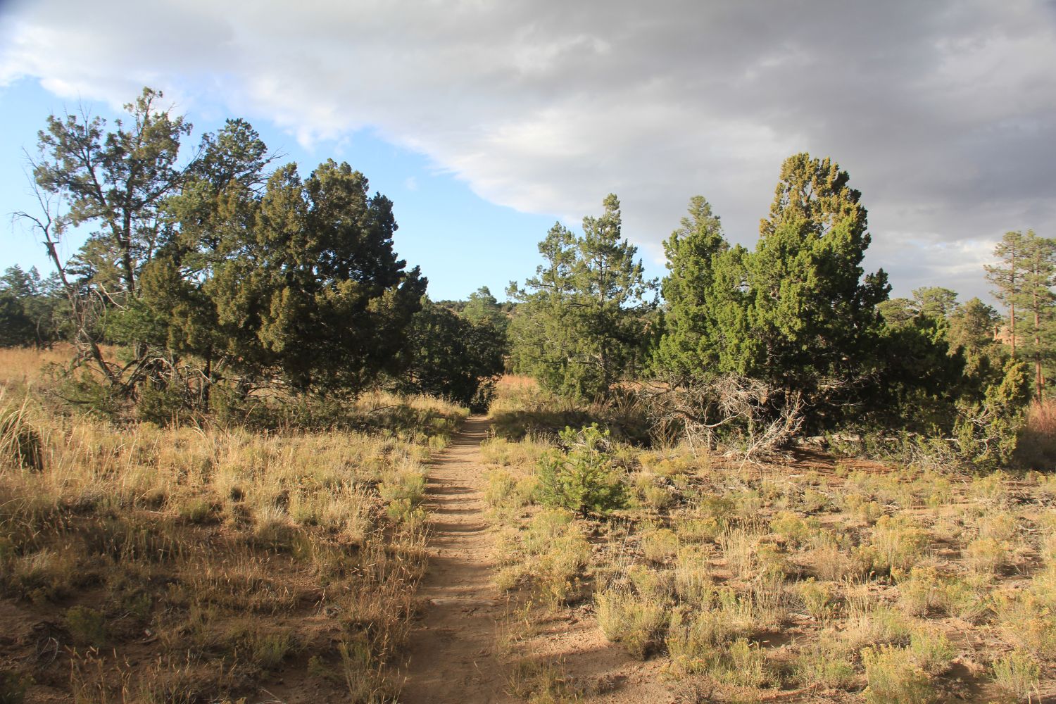 Bandalier National Monument 